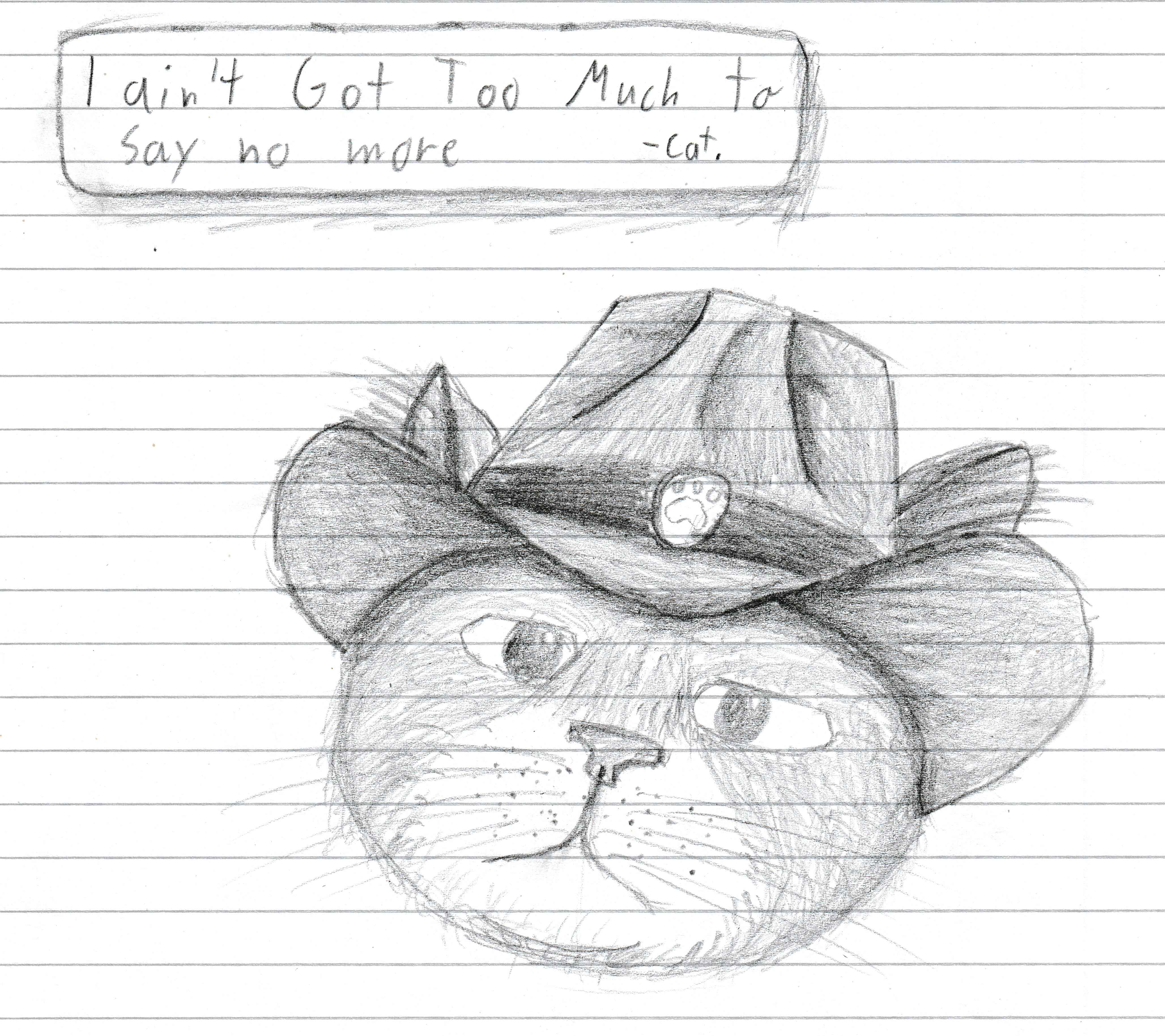 Cowboy Cat
